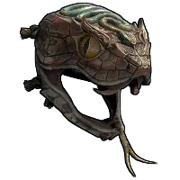 Skin's image
