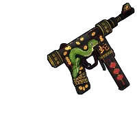 Skin's image