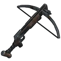 Skin's image