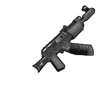 Skin's image