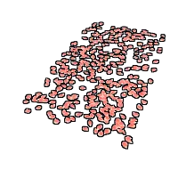 Skin's image