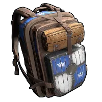 Skin's image
