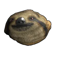 Skin's image