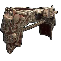 Skin's image