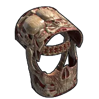 Skin's image