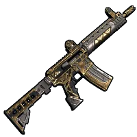 Skin's image
