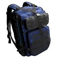 Skin's image