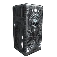 Skin's image