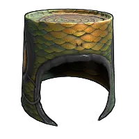 Skin's image