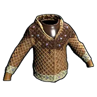 Skin's image