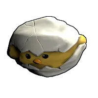 Skin's image