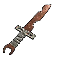 Skin's image