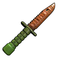 Skin's image