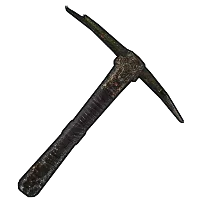 Skin's image