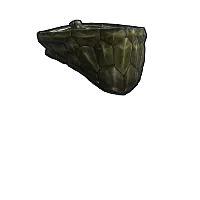 Skin's image