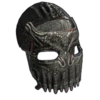 Skin's image