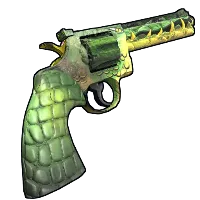 Skin's image