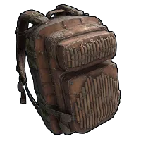 Skin's image