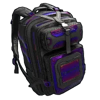 Skin's image