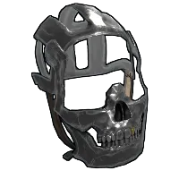 Skin's image