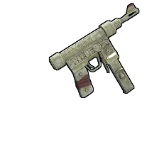 Skin's image