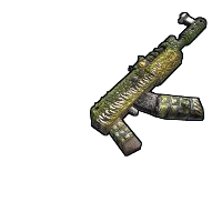 Skin's image