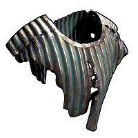 Skin's image