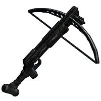 Skin's image