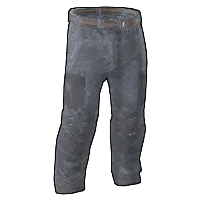 Skin's image