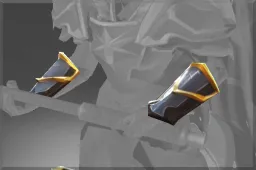 Skin's image
