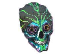 Skin's image
