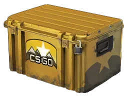 Skin's image