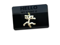 Skin's image