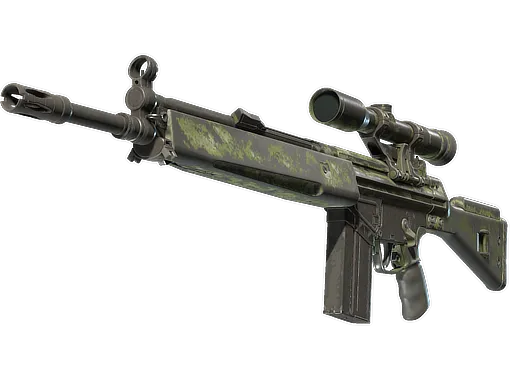 Skin's image
