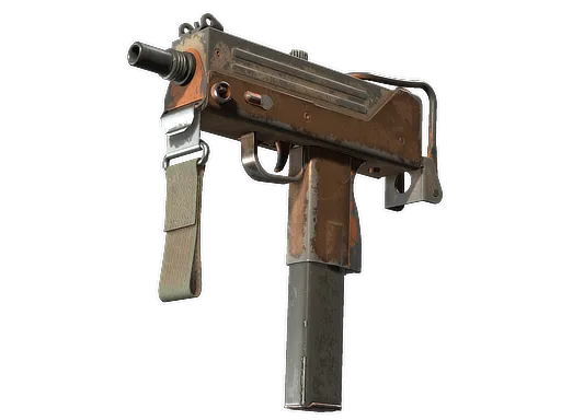 Skin's image