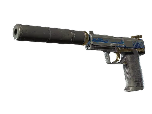 Skin's image