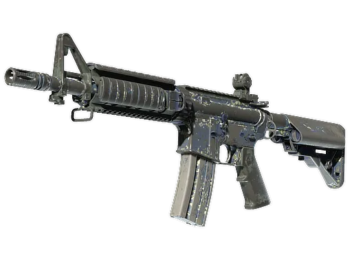 Skin's image