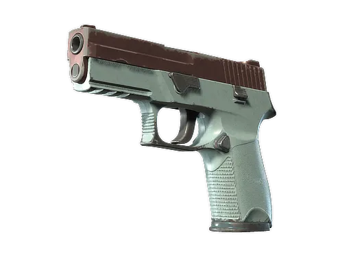 Skin's image