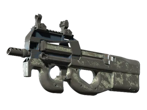Skin's image