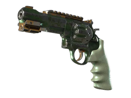 Skin's image