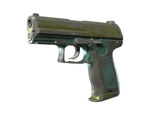 Skin's image