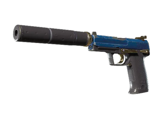 Skin's image