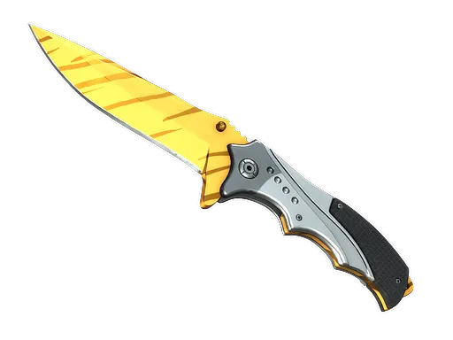 Skin's image
