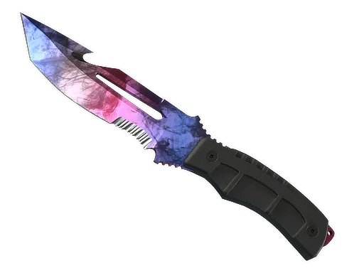Skin's image