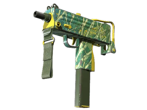 Skin's image