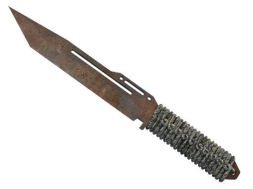Skin's image