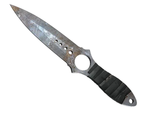Skin's image