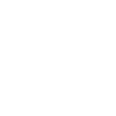 Skin's image