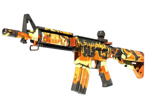 Skin's image