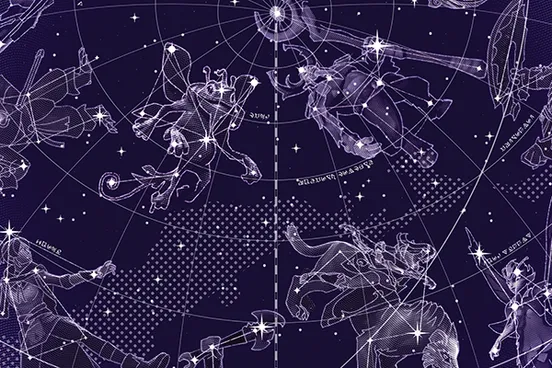 Skin's image